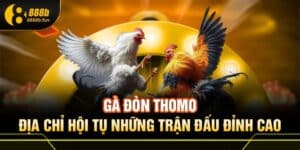 Gà đòn Thomo 888B