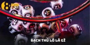 Bạch thủ lô là gì